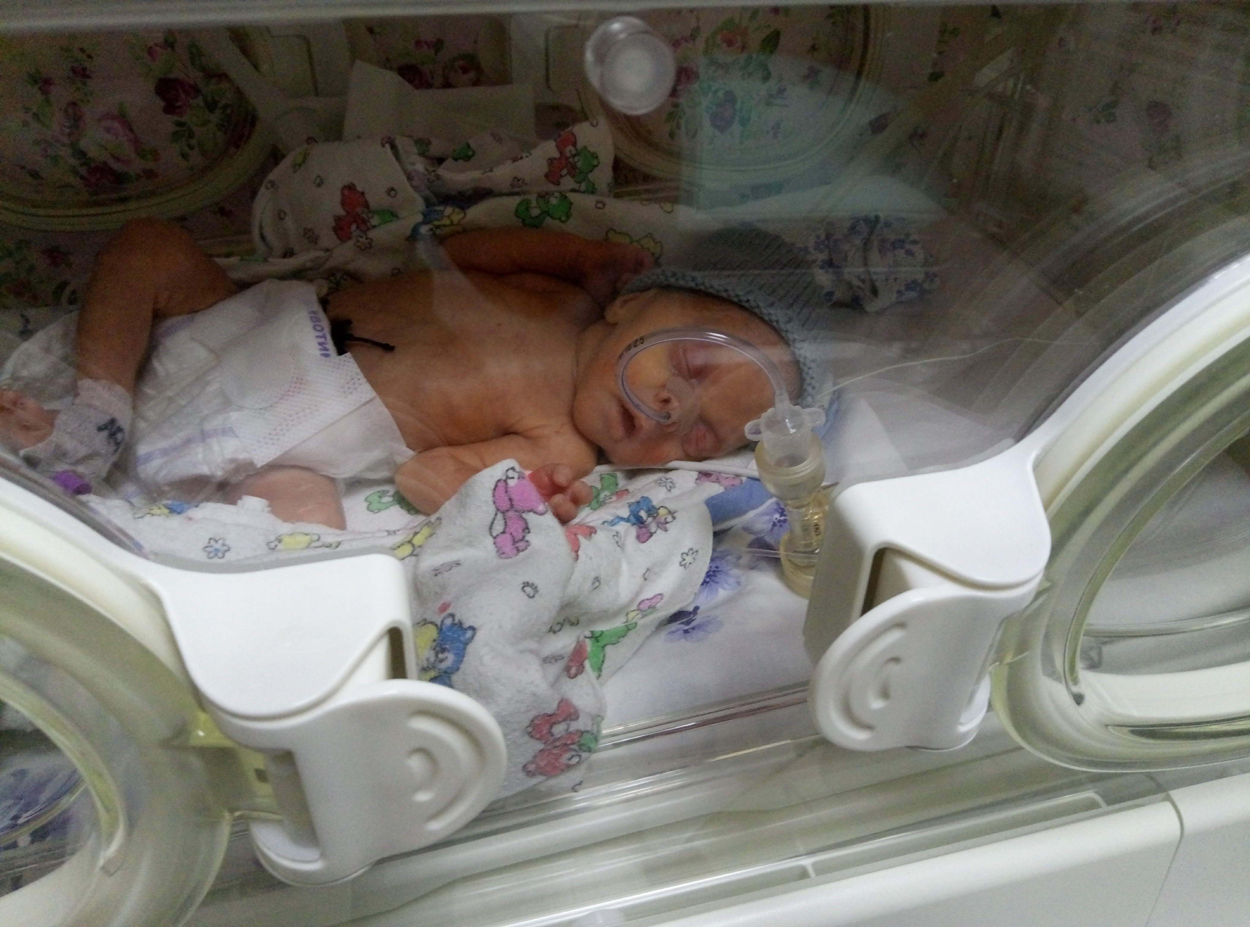 Фото N Линник